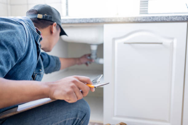 Best Plumbing Services Near Me  in Palmyra, MO