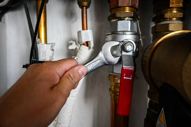 Best Best Plumbers Near Me  in Palmyra, MO